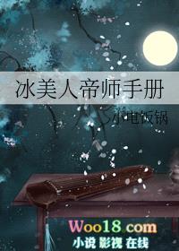 冰美人帝师手册（穿越）封面